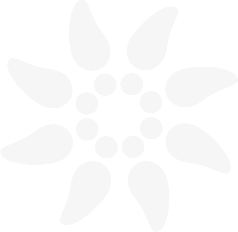 Logo de soliservice